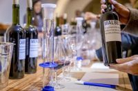 Una experiencia para convertirse en enólogo por un día en Bodega Malma