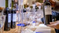 Enoturismo en Neuquén: Bodega Malma invita a vivir la experiencia de crear un vino propio