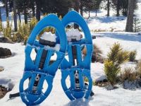 Experiencia Pino Hachado: una invitación a descubrir la cordillera neuquina con raquetas de nieve