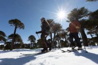 Neuquén despliega toda su oferta de nieve con centros renovados y propuestas para toda la familia