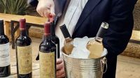 El Alto Neuquén impulsa una nueva etapa vitivinícola con bodegas y viñedos de montaña