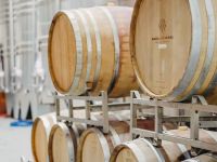 Mabellini Wines abre sus puertas al enoturismo con una experiencia entre vinos, quesos y paisaje patagónico