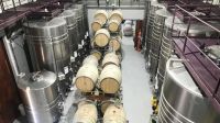 Bodega Mabellini suma una nueva propuesta de enoturismo para fortalecer la oferta turística de Neuquén