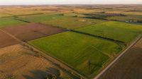 Ley de Tierras: cómo regulan Brasil, Uruguay y Paraguay la compra de campos por extranjeros y qué cambia el proyecto de Milei
