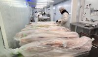 El Chivito Criollo del Norte Neuquino llega por primera vez a la Exposición Rural de Palermo