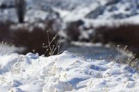 Se esperan fuertes nevadas y viento para el fin de semana