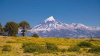 Junín de los Andes y Mariano Moreno promocionan su oferta turística en Portal de la Patagonia