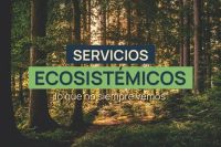El efecto inadvertido de los ecosistemas en Neuquén