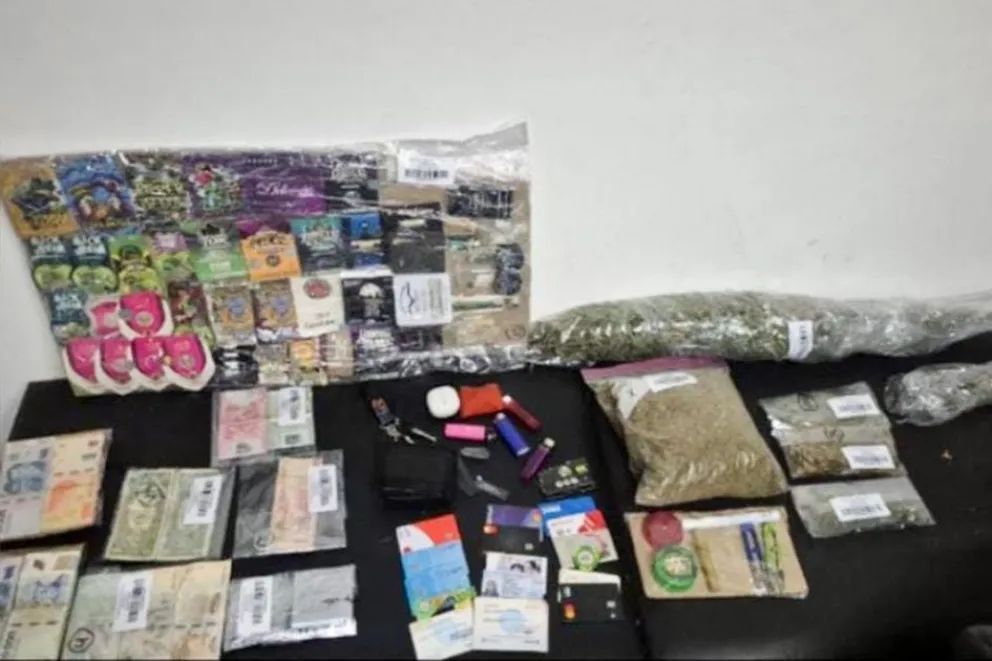 Secuestraron 407 gramos de cannabis, 64 plantines y dinero durante un allanamiento