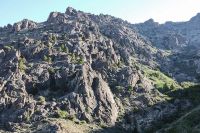 Cañada Molina, el refugio de los cipreses más antiguos del país