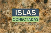 Islas conectadas: cómo la vegetación sostiene la vida en la estepa neuquina