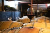 Neuquén celebra el Día Mundial del Pinot Noir con un foro de la industria y una noche abierta al público