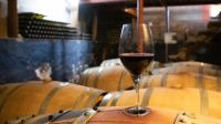 Neuquén celebrará el Día Mundial del Pinot Noir con un foro de la industria y una noche abierta al público