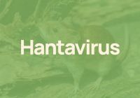 Confirman muerte de un joven de 26 años por hantavirus