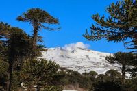 El volcán Copahue fue seleccionado para competir entre “Montañas de Fama Mundial”