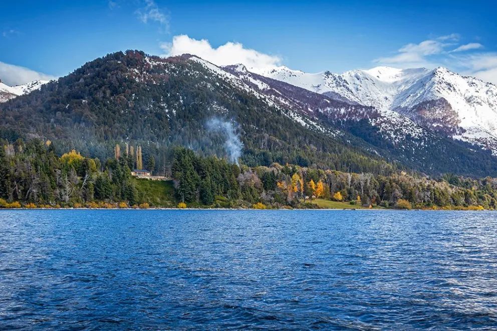 El bosque que quedó bajo el agua