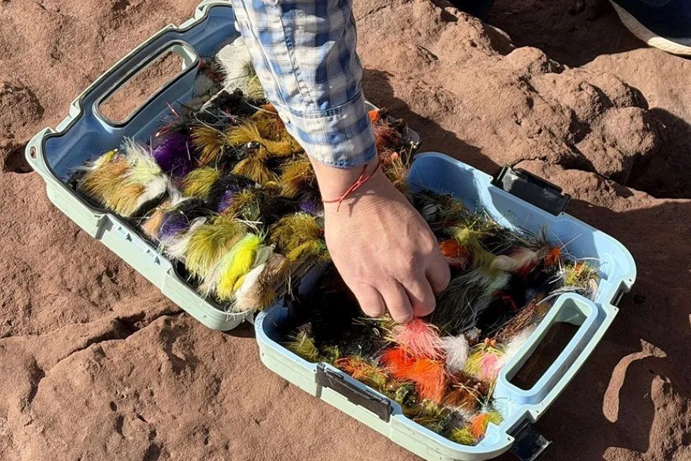 Un día en El Chocón: pesca, dinosaurios, sabores y paisajes para disfrutar en familia