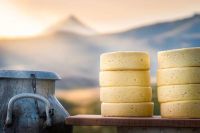 Junín de los Andes celebra la 1ª Fiesta Provincial del Queso Cordillerano