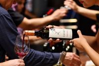 Vino neuquino y sabores de la cordillera: After Ski en Villa La Angostura