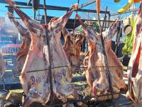 El Chivito Criollo del Alto Neuquén fue furor en Confluencia de Sabores