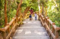 Villa La Angostura se prepara para una nueva edición del Festival Internacional de los Arrayanes