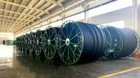 Socotherm lleva su experiencia global a Vaca Muerta y apuesta por tuberías flexibles para reducir costos