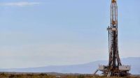 Vaca Muerta: empresas ofertaron más de US$ 180 millones por nuevas áreas y comprometieron inversiones por US$ 230 millones