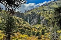 Las tierras de Pulmarí no pueden venderse