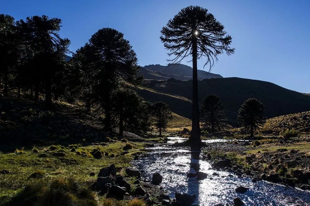 Caviahue-Copahue: nieve, termas y aventura al pie del volcán