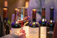 El Pinot Noir es oficialmente la cepa emblema de la provincia