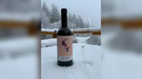 Late Patagonia presenta una experiencia para descubrir los vinos DamaJuanita en Chiquín, Fuegos & Cocina