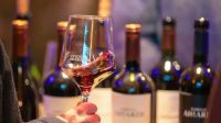 Neuquén declaró al Pinot Noir como cepa emblema y fijó el 18 de agosto como su día provincial