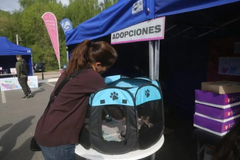 Jornada de castración y adopción en Hiroki