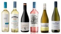 Vinos argentinos para brindar por la primavera: frescos, livianos y para distintos bolsillos