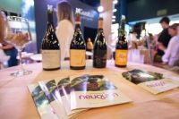 Los vinos neuquinos conquistaron los paladares de especialistas internacionales