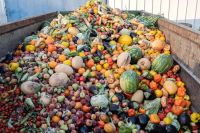 En Argentina se estima que hasta un tercio de los alimentos producidos se pierde o desperdicia