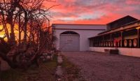 Un vino mendocino con 87 años de historia será parte de la misa del Papa