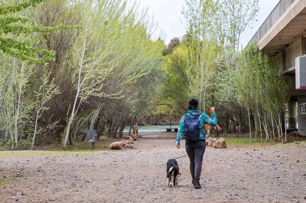 Primavera a orillas del río Neuquén: un paseo por el verde del Parque Agreste