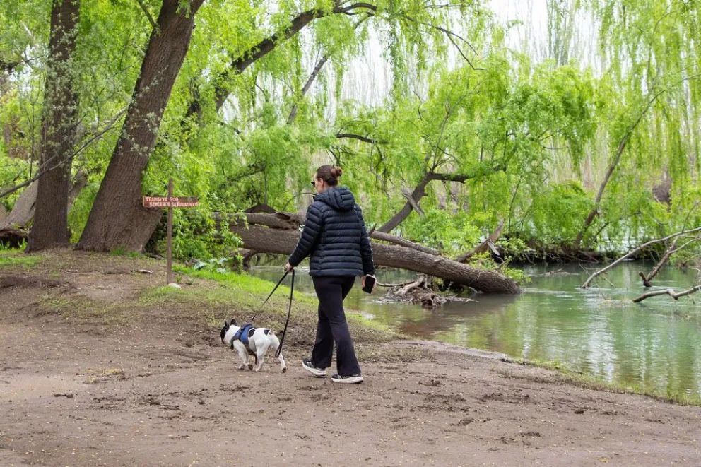 Primavera a orillas del río Neuquén: un paseo por el verde del Parque Agreste