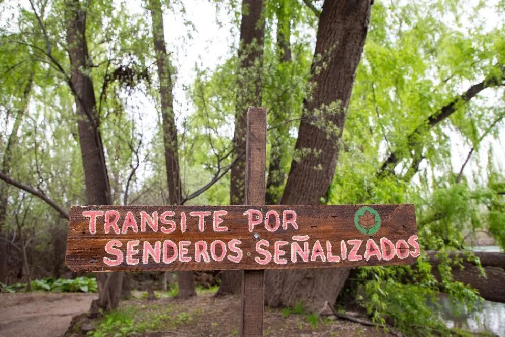 Primavera a orillas del río Neuquén: un paseo por el verde del Parque Agreste