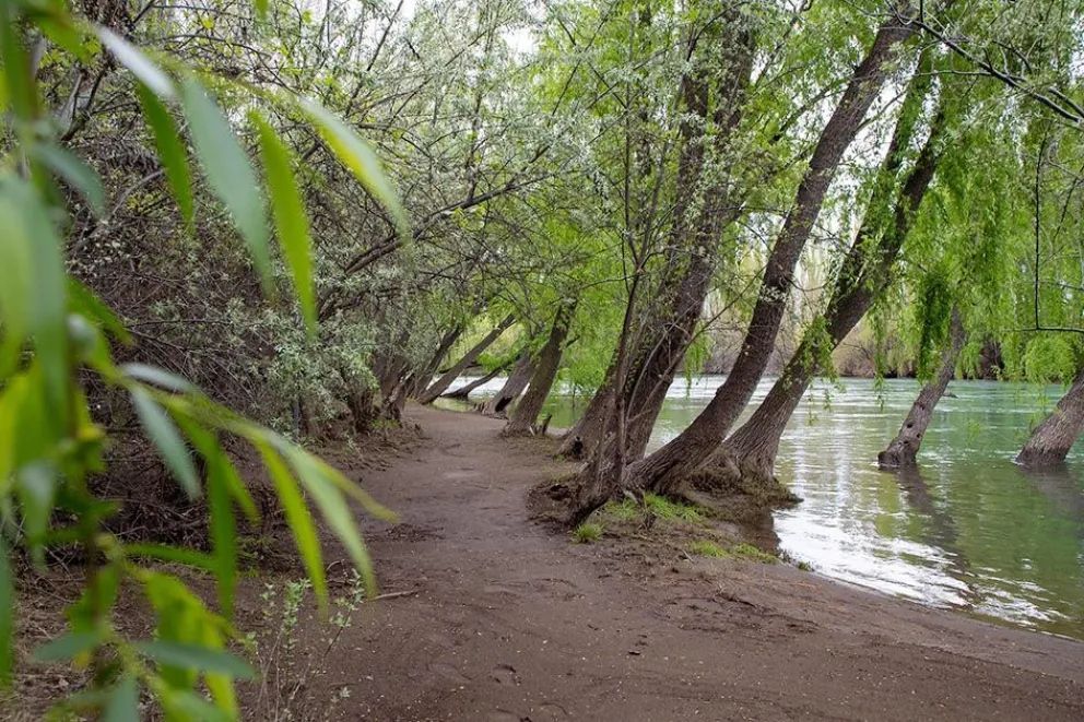 Primavera a orillas del río Neuquén: un paseo por el verde del Parque Agreste