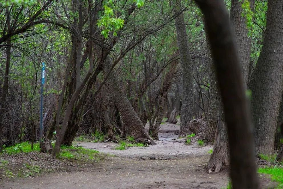 Primavera a orillas del río Neuquén: un paseo por el verde del Parque Agreste