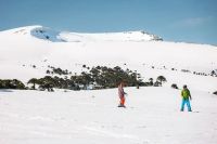 Villa Pehuenia-Moquehue cerró el invierno con el mejor desempeño entre los destinos de nieve