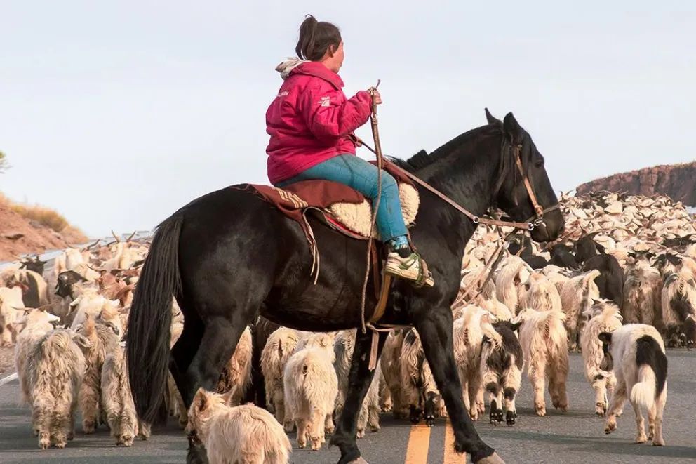 Las mujeres rurales campesinas tendrán su homenaje con una gran fiesta criolla