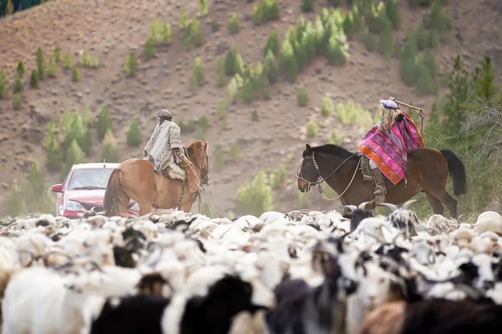 Las mujeres rurales campesinas tendrán su homenaje con una gran fiesta criolla