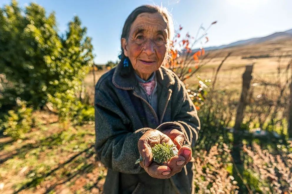 Las mujeres rurales campesinas tendrán su homenaje con una gran fiesta criolla