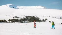 Villa Pehuenia-Moquehue lideró la temporada de nieve con más de 18.000 turistas