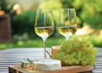 Semana del Torrontés: tres vinos para redescubrir el blanco argentino