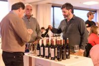 Llega Vino a la Montaña, una feria para poner en valor la vitivinicultura neuquina