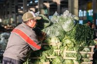El Mercado Concentrador abrirá este sábado 10 de octubre